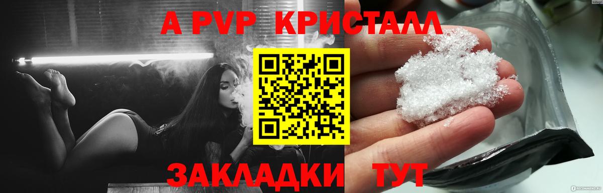 A PVP СК КРИС Мытищи