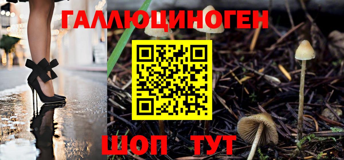 купить наркотик  Галлюциногенные грибы Magic Shrooms  Мытищи  Вход с VPN  Галлюциногенные грибы MAGIC MUSHROOMS 